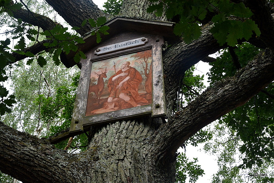 Rozcestí U Sv. Eustacha mezi Tokání a Doubicí (reprofoto)